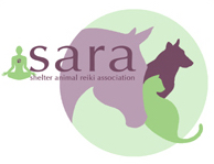 Book a session for your pet or enrol in one of our Animal Reiki Certification Class